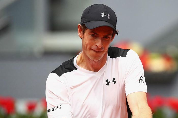 ___4998638___https:______static.pulse.com.gh___webservice___escenic___binary___4998638___2016___5___5___17___andymurray-cropped_dxgg1zs5oz7u1k8buzrcj6fso_2