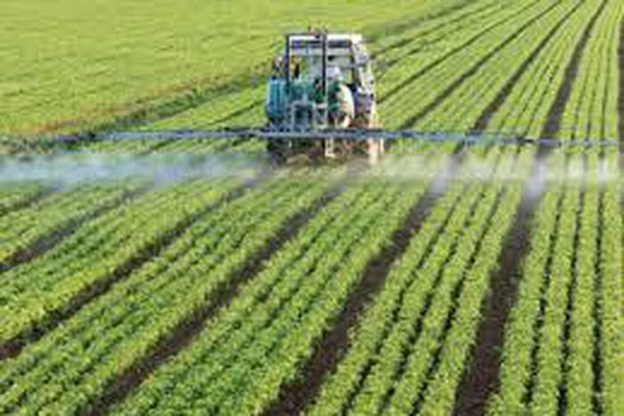 AfDB plans $175 M for agricultural transformation in North-West region