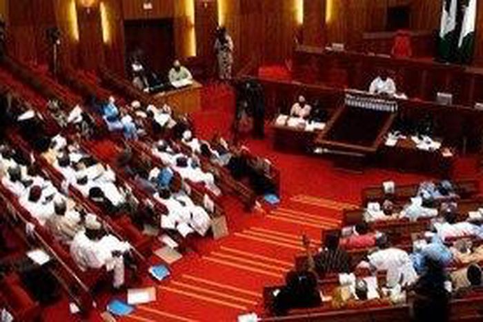 The floor of the Nigerian senate.