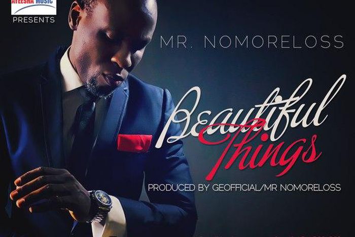 Nomoreloss- 'Beautiful things' art cover