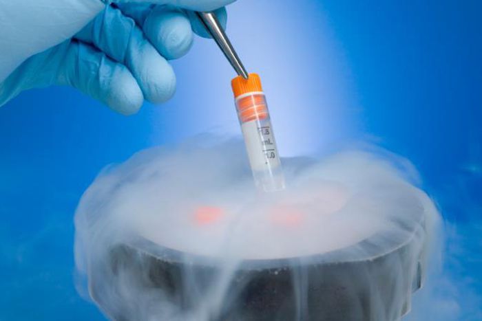 French court rules woman can use dead husband's sperm