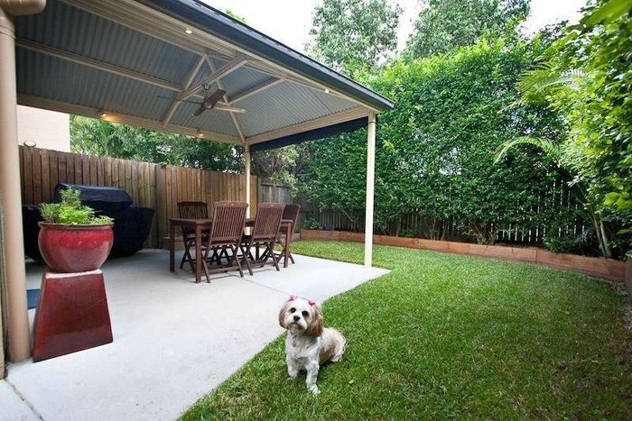 Cute dog helps sell houses in Australia