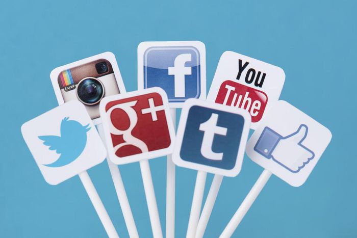 Social Media Platforms