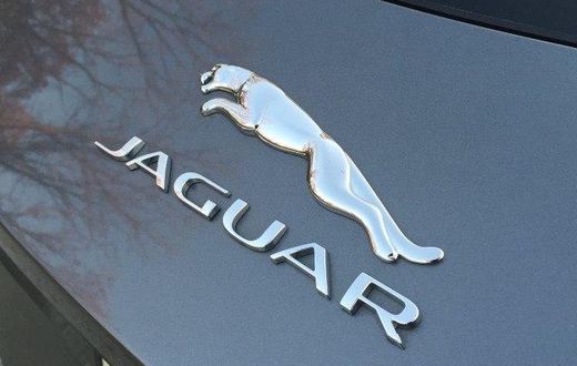 Jaguar