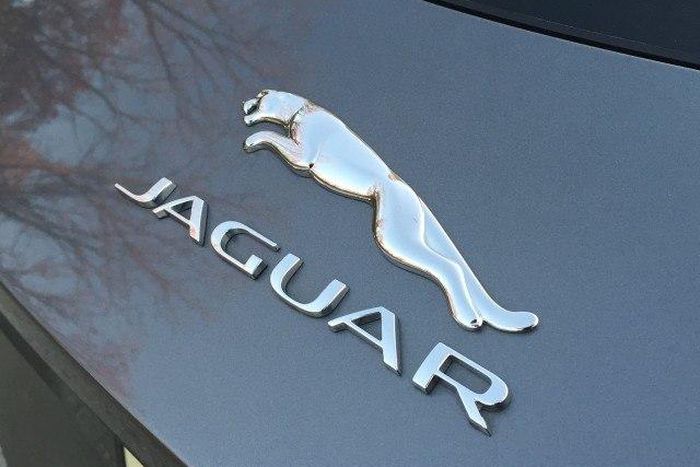 Jaguar
