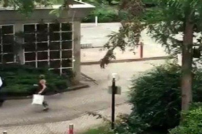 People running for help in the Munich Shopping Mall shooting