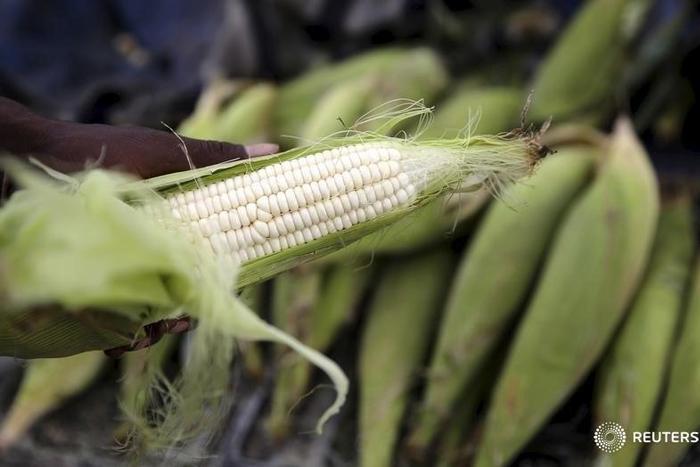 A hawker prepares a cob of corn at his makeshift shop in Soweto, January 27, 2016. S . REUTERS/Siphiwe Sibeko