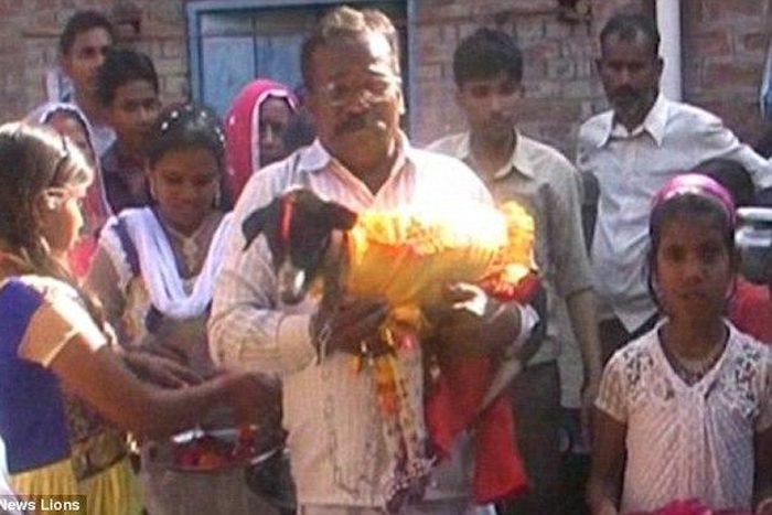 Bizarre wedding ceremony of 2 dogs attracts over 5000 people to watch