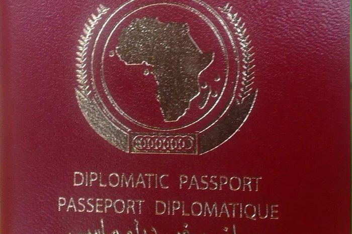 7 things you need to know about the African passport