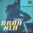 Swanky BABA-NLA cover