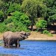 ___4707502___https:______static.pulse.com.gh___webservice___escenic___binary___4707502___2016___2___19___15___wildlife