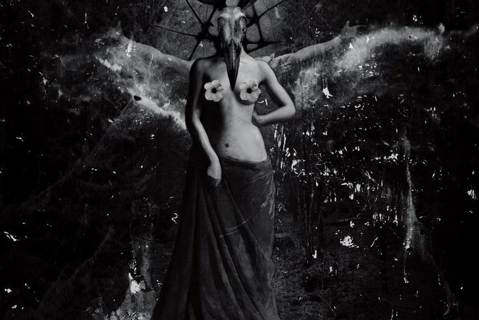 Brymo's "Klitoris" album artwork