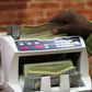 A bureau de change operator counts U.S. currency notes in Abuja, March 12, 2015. REUTERS/Afolabi Sotunde