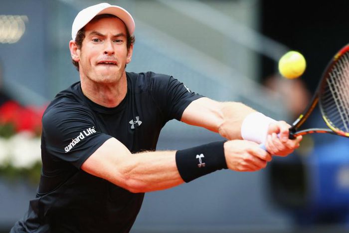 ___5013747___https:______static.pulse.com.gh___webservice___escenic___binary___5013747___2016___5___10___9___andymurray-cropped_110a0aqfnwzxf14owx4bsdmlh4