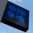 The logo of the Organization of the Petroleum Exporting Countries (OPEC) is pictured at its headquarters in Vienna, Austria, March 21, 2016.