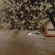 At least four die as floods hit U.S. south, thousands of homes damaged
