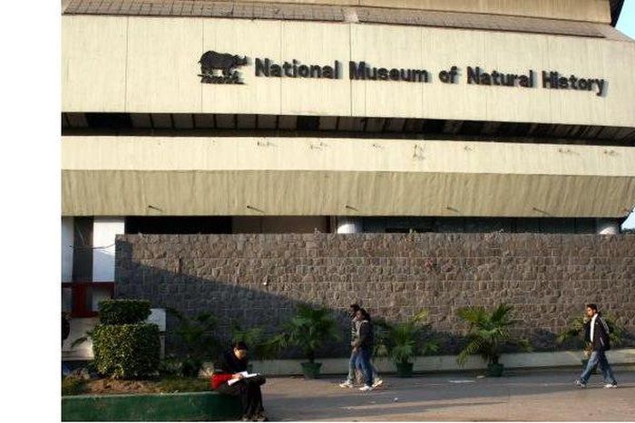 ___4964105___https:______static.pulse.com.gh___webservice___escenic___binary___4964105___2016___4___26___18___National-Museum-of-Natural-History-New-Delhi