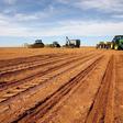 A farmer inspects the soil ahead of planting at a maize field in Wesselsbron, a small maize farming town in the Free State province of South Africa, January 13, 2016. REUTERS/Siphiwe Sibeko/File Photo