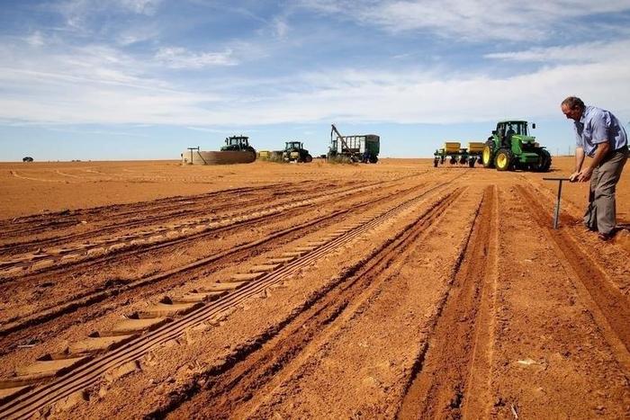 A farmer inspects the soil ahead of planting at a maize field in Wesselsbron, a small maize farming town in the Free State province of South Africa, January 13, 2016. REUTERS/Siphiwe Sibeko/File Photo