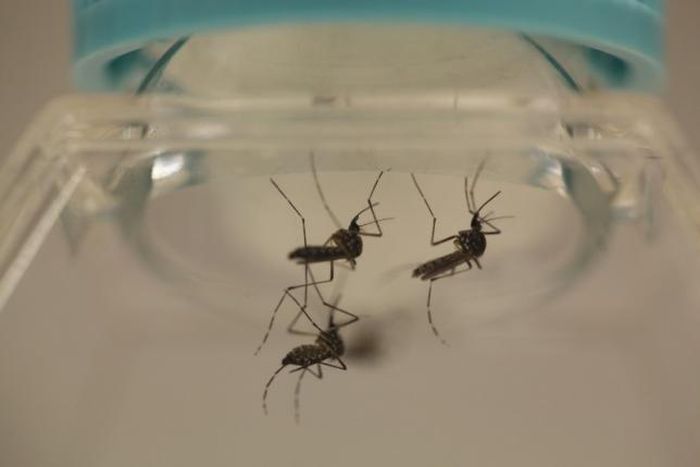 U.S. researcher contracts Zika during experiment - media