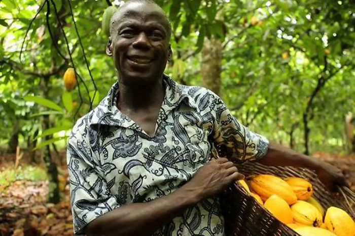 Ebola, commodity price fall cost Guinea $500 mln in lost revenue