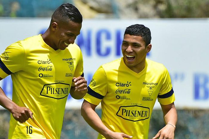 ___4979542___https:______static.pulse.com.gh___webservice___escenic___binary___4979542___2016___4___30___16___ecuador-cropped_1k719drq12uqq15nwo7rak7xs6