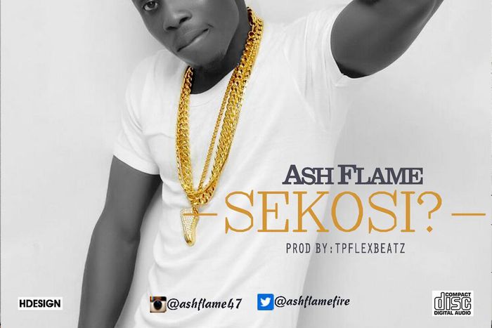 Ash Flame - Sekosi art cover