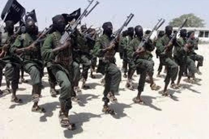 Somali Islamists confirm U.S. strike, say casualties exaggerated