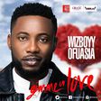 Wizboyy - 'Gimme your love'