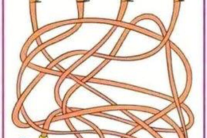 Which is supplying the water?