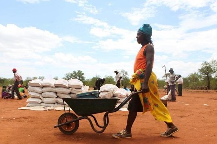 A villager uses a wheelbarrow to collect a monthly food ration provided by the United Nations World Food Programme (WFP) in Masvingo, Zimbabwe, January 25, 2016. REUTERS/Philimon Bulawayo