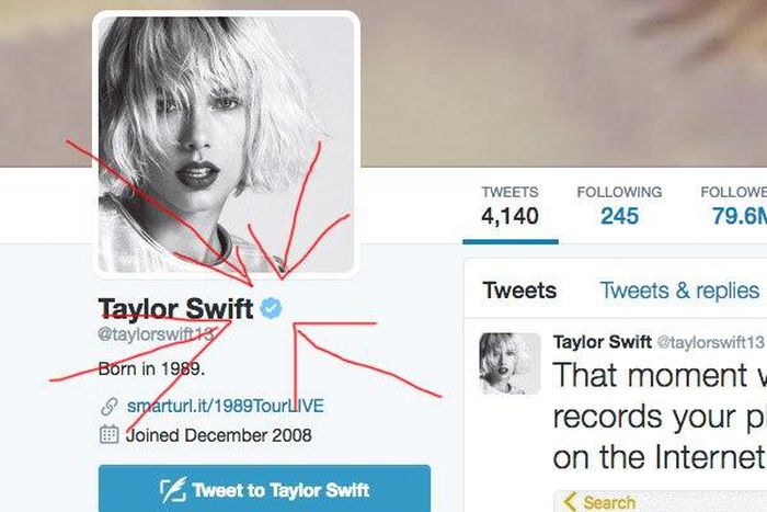 Twitter verification