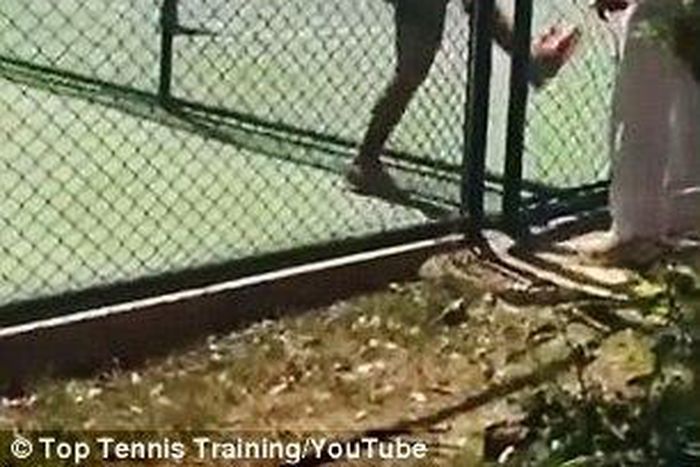 Majid Abedini chases official out of court