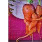 Carrot couple