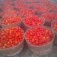 Prices of fresh tomatoes up by 1,000% in Jos, environs