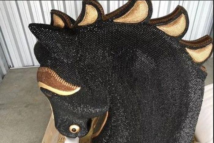 New Zealand police find record cocaine haul in horse's head