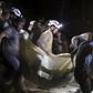 Air strikes on Aleppo hospital kill 20 - Observatory