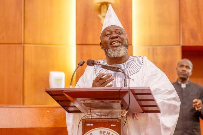 Adebayo Shittu during his ministerial screening at the National house of assembly