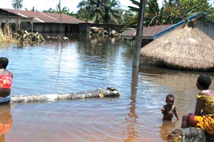 Flood kills 3, destroys cash crops in Kano State