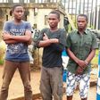 The suspected oil vandals