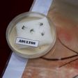 WHO issues stricter Zika guidelines to prevent sexual transmission