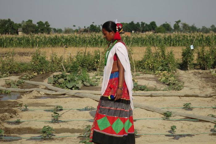 With men gone, women shake up farming in rural Nepal
