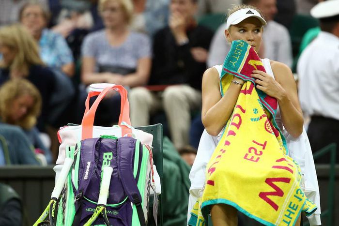 ___5204484___https:______static.pulse.com.gh___webservice___escenic___binary___5204484___2016___6___29___3___carolinewozniackicropped_cy151tf2r54i1vbbs74jwdyli