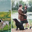 Couple recreates scenes from '101 Dalmatians' and it is amazing