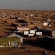 U.S. submits new U.N. Western Sahara draft after criticism