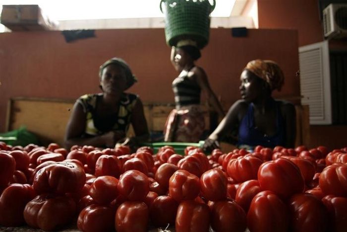 Women sell tomatoes at a market in Cabinda January 12, 2010.
REUTERS/Rafael Marchante
