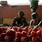 Women sell tomatoes at a market in Cabinda January 12, 2010.
REUTERS/Rafael Marchante