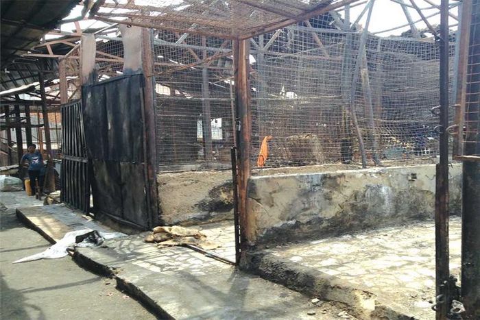 Update: Fire razes 95 shops at Kurmi market