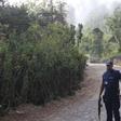 Police stand guard on the road leading to the Spanish embassy in Praia, Cape Verde, April 26, 2016.