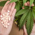 GW Pharma to raise $252 mln after cannabis drug success